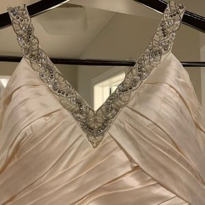 Pronovias Wedding Dress